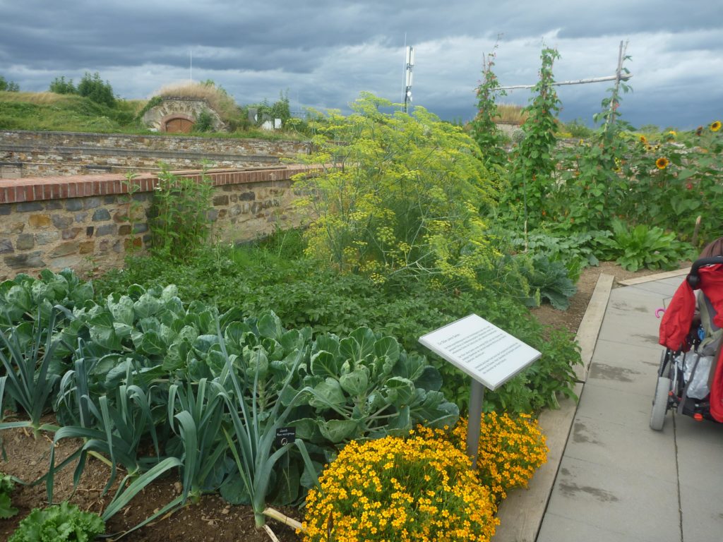 Koblenz Garten im Ehrenbreitstein 1